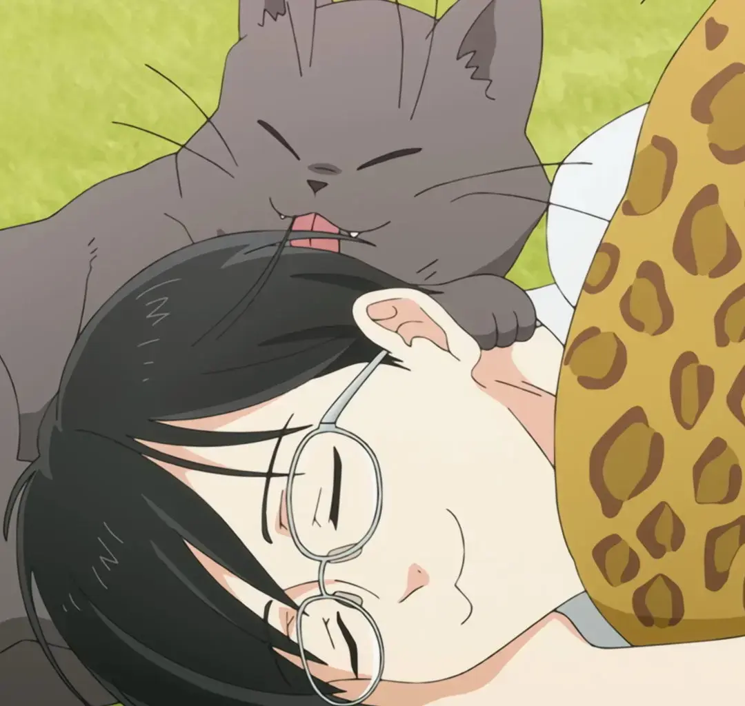 《想变成猫的田万川君》动漫免费观看高清完整版_想当猫田万川君1-12集全集播放_想变成猫的田万川君动漫在线观看
