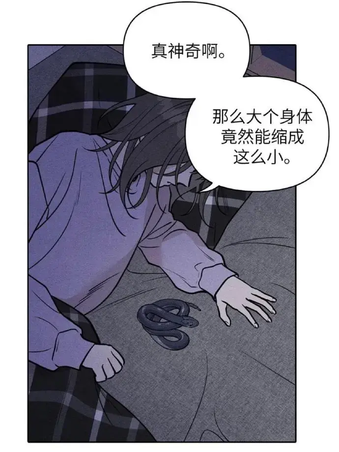 韩漫《下班路上捡到蛇》漫画未删减免费观看完整版_下班路上捡到蛇漫画台版无光网盘资源_下班路上捡到蛇漫画免费阅读最新章节下拉式 - 哔哩哔哩漫画