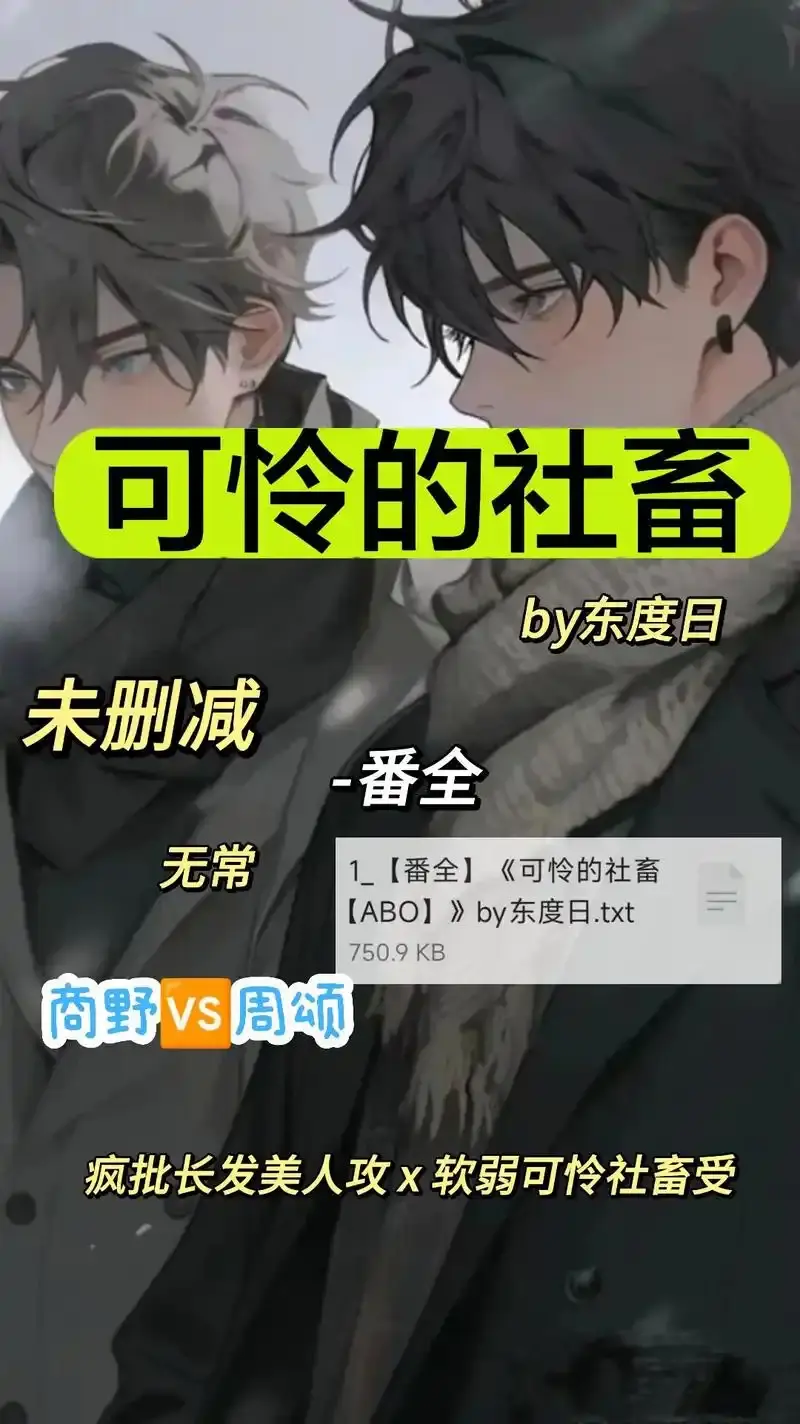 by东度日《可怜的社畜》（未删减+番外）全本TXT下载《可怜的社畜》by东度日全文结局txt番全已完结-可怜的社畜最新章节周颂小说完整版