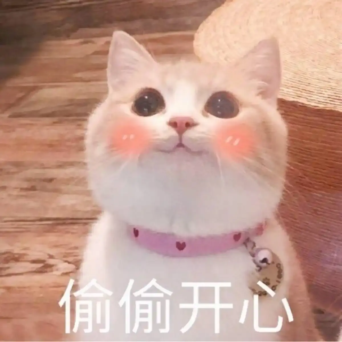 生理性迷恋by匿名咸鱼小说在线阅读_生理性迷恋by索尔仁尼琴txt_生理性迷恋by索尔仁尼琴百度网盘下载_生理性迷恋by匿名的鱼txt_生理性迷恋by索尔仁尼琴txt