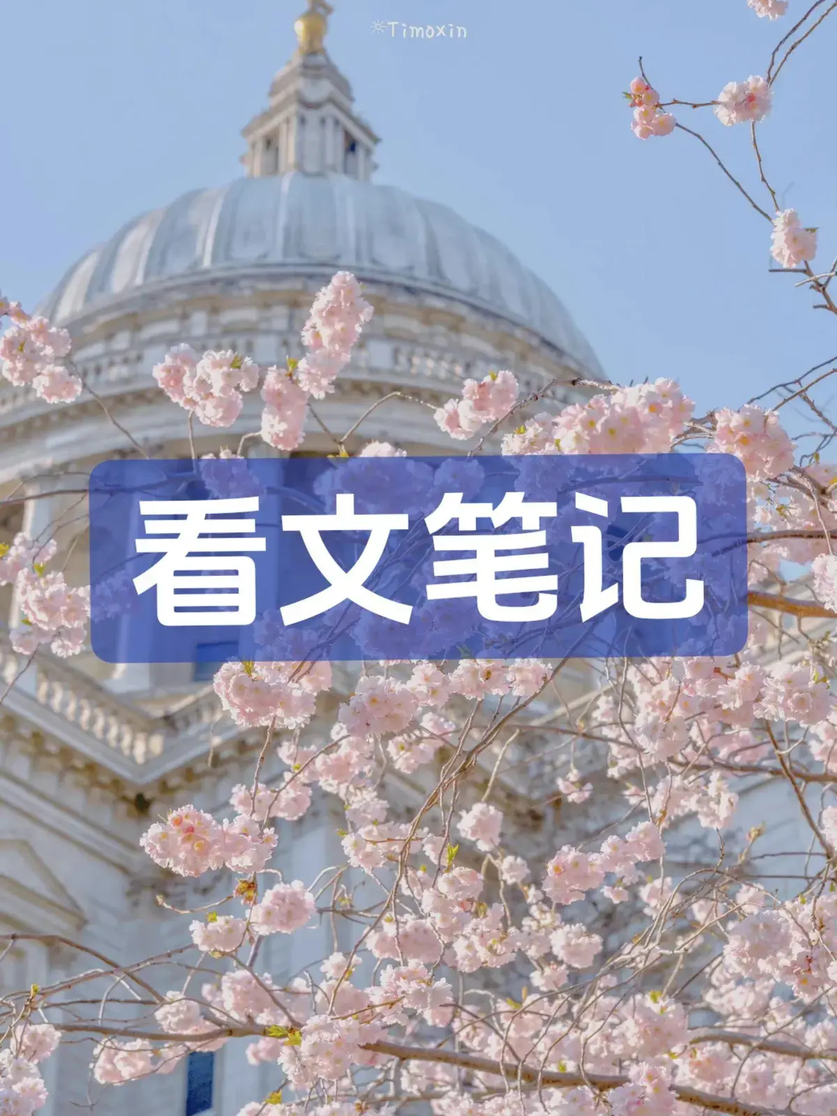 穿书后我被主角受强制爱了最新章节_穿书后我被主角受强制爱了全文免费阅读_穿书后我被主角受强制爱了小说by东渡日txt_穿书后我被主角受强制爱了最新章节