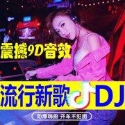 车载音乐下载【百度网盘下载】车载音乐1000首dj歌曲打包分享
