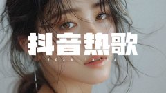 抖音神曲打包下载-最新好听的热门抖音流行音乐大全批量下载网站