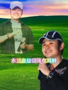 刀郎[2001-2025年]所有歌曲音乐专辑合集打包无损FLAC/MP3百度云盘下载
