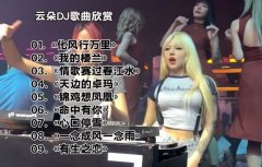 开车必听100首中文DJ-开车犯困必听DJ下载-最新开车必听100首中文DJ资源包