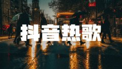 2024年抖音热歌车载音乐歌曲经典怀旧老歌u盘歌曲柏林之声下载