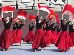 广场舞视频下载mp4-广场舞视频下载mp4大全-高清广场舞视频mp4