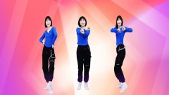 最新广场舞视频打包下载-广场舞8000个舞曲大全下载-免费广场舞视频下载