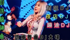 最新开车必听100首中文DJ下载-车载dj歌曲2025最火DJ舞曲串烧大全