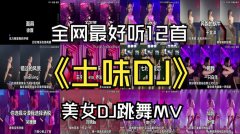 抖音2024最火歌曲合集夸克-抖音神曲流行热门歌曲高品质mp3资源包【持续更新中】