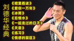刘德华歌曲经典老歌100首夸克-刘德华粤语歌曲大全100首百度网盘资源打包