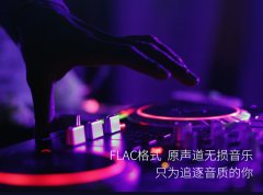 8000首经典老歌大全粤语怀旧金曲合集-车载音乐免费打包夸克
