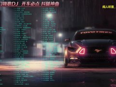 2024最新版车载经典歌曲一人一首成名曲合集mp3资源打包夸克地址