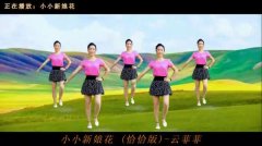 动感十足的dj广场舞广场高清视频夸克，年轻人劲爆dj广场舞歌曲合集资源