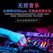 车载音乐夸克网站-车载音乐资源百度网盘-车载必备DJ音乐夸克