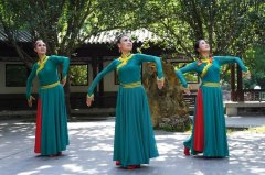 广场舞mp3下载-最新广场舞歌曲免费下载-广场舞视频大全2025年最火广场舞