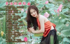 宝丽金群星经典老歌8090怀旧金曲-经典怀旧宝丽金粤语老歌曲下载