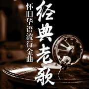 港台榜首金曲精选怀旧金曲高清音质-一人一首港台歌手成名曲经典歌曲下载