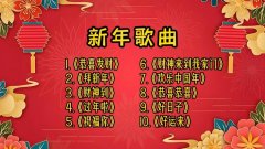 喜庆的歌曲经典老歌大合集-难忘今宵喜庆歌曲配乐下载