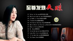 最好听的发烧人声歌手作品合集-发烧人声黑胶顶级HIFI100倍音质