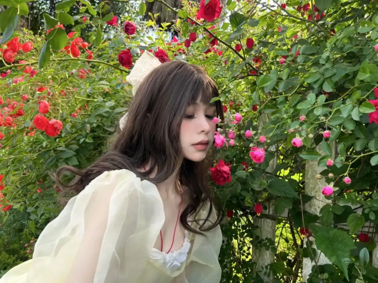 经典老歌歌曲大全下载 经典老歌批量下载 华语经典歌曲下载