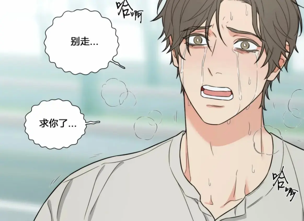 虐美人免费漫画在线阅读全集_虐美人Sadistic Beauty/囚笼之爱完整版在线观看免费阅读_虞美人正
